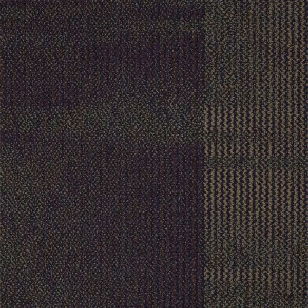 Picture of Shaw Floors - Color Play Black To Business