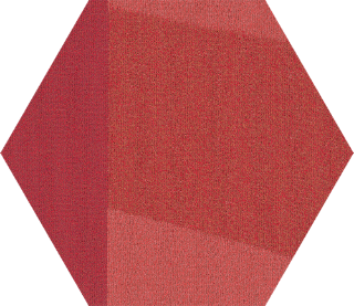 Picture of Shaw Floors - Color Shift Hexagon Tile Social