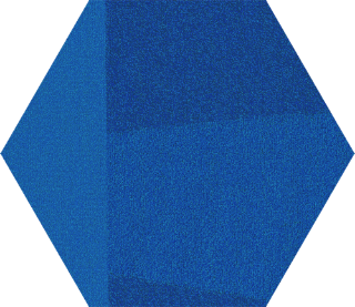 Picture of Shaw Floors - Color Shift Hexagon Tile Electric