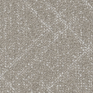 Picture of Shaw Floors - Collective IV Beige