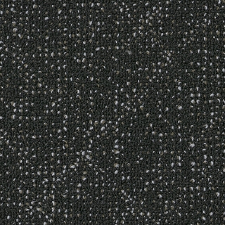 Picture of Shaw Floors - Collective IV Black