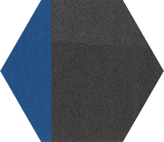 Picture of Shaw Floors - Contact Hexagon Tile Electric Form