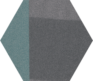 Picture of Shaw Floors - Contact Hexagon Tile Aerial Progress