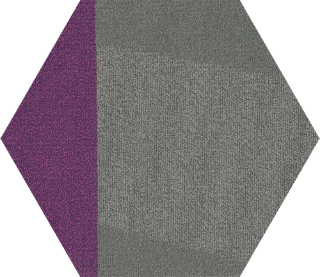 Picture of Shaw Floors - Contact Hexagon Tile Brilliant Proposal