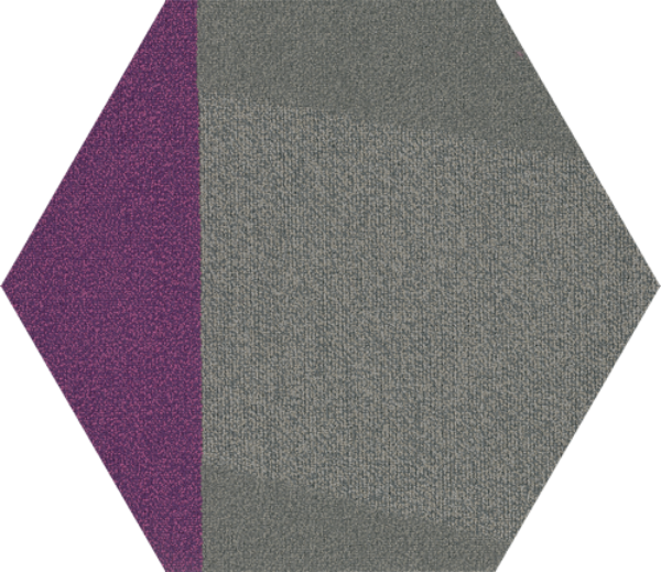 Picture of Shaw Floors - Contact Hexagon Tile Brilliant Proposal