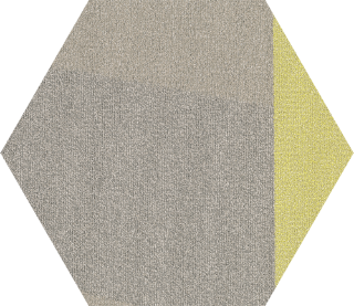 Picture of Shaw Floors - Contact Hexagon Tile Sublime Shift