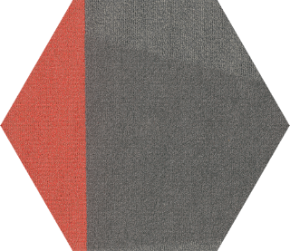 Picture of Shaw Floors - Contact Hexagon Tile Social Dialogue