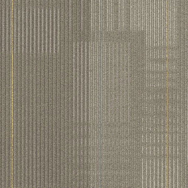 Picture of Shaw Floors - Diffuse 24 x 24 Road Trip