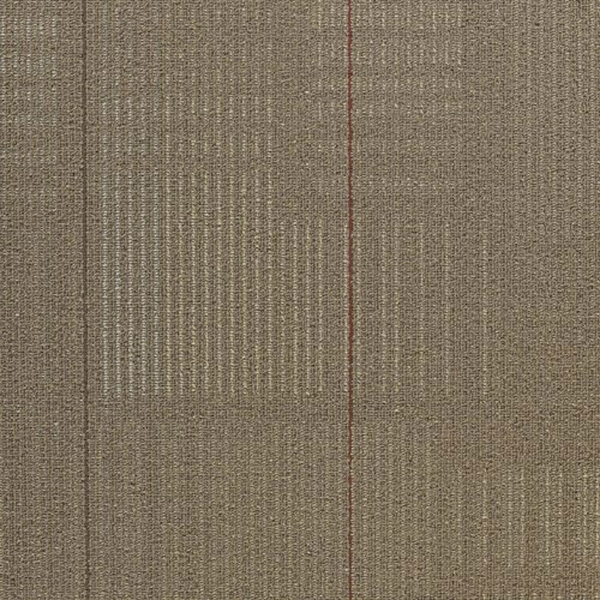 Picture of Shaw Floors - Diffuse 24 x 24 Annual