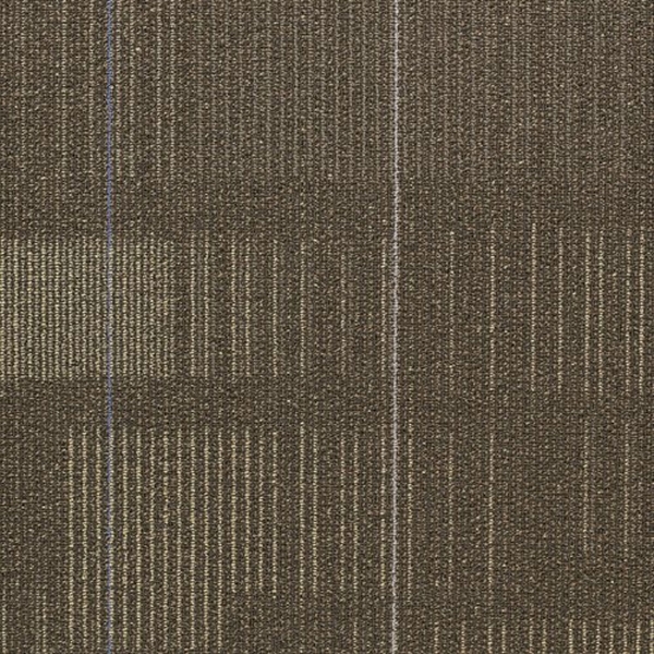 Picture of Shaw Floors - Diffuse 24 x 24 Nomad