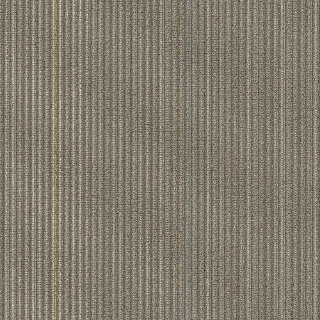 Picture of Shaw Floors - Disperse Road Trip