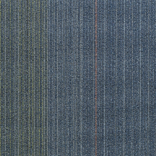 Picture of Shaw Floors - Disperse Flyway