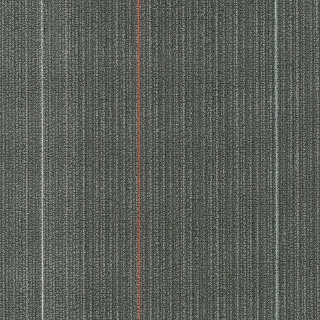 Picture of Shaw Floors - Disperse Train Station