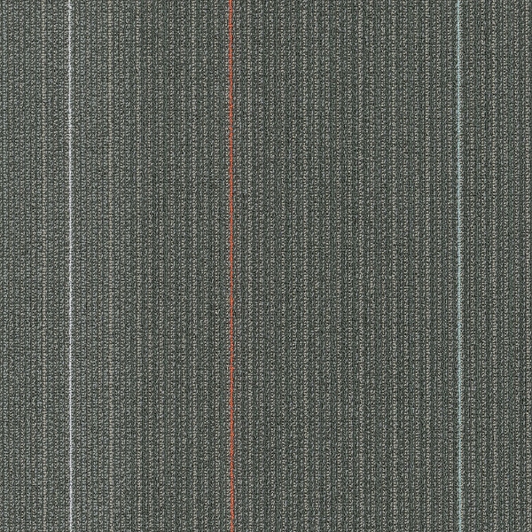 Picture of Shaw Floors - Disperse Train Station