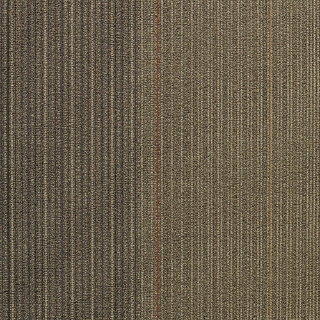 Picture of Shaw Floors - Disperse Voyage