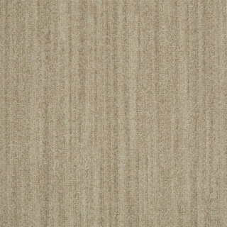 Picture of Shaw Floors - Earth Tone Yucca