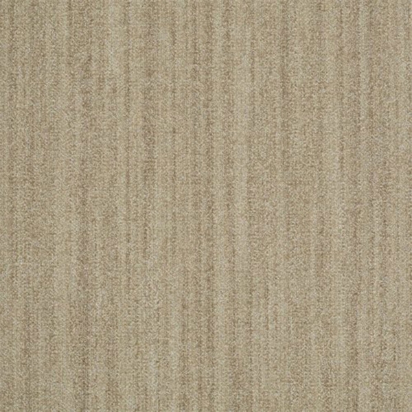 Picture of Shaw Floors - Earth Tone Yucca