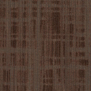 Picture of Shaw Floors - Entwine Samara