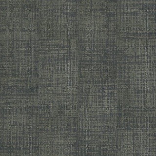 Picture of Shaw Floors - Fine Point Landscape