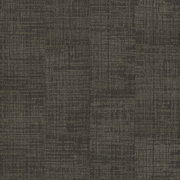 Picture of Shaw Floors - Fine Point Bistre