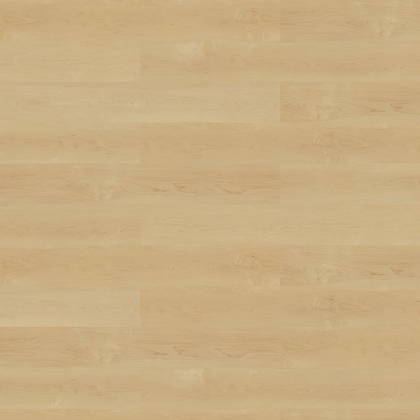 Picture of Shaw Floors - Grain / Pigment Bare