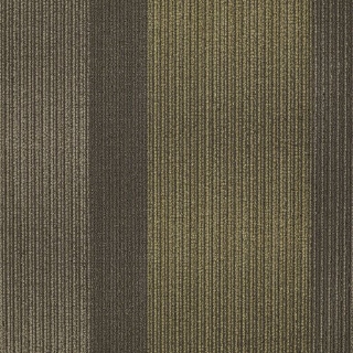 Picture of Shaw Floors - Hybrid Season