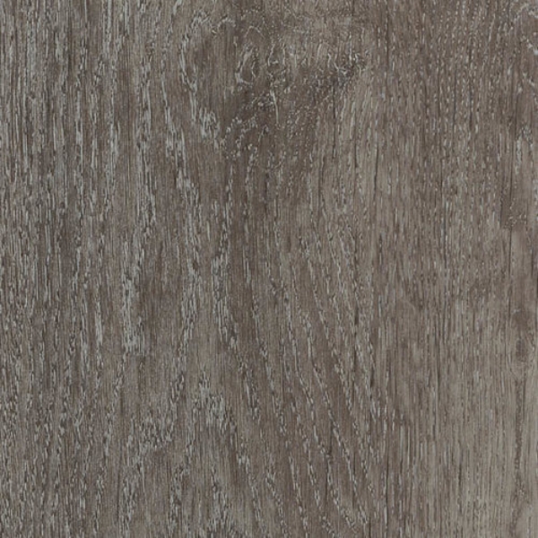 Picture of Shaw Floors - Inlet Brew