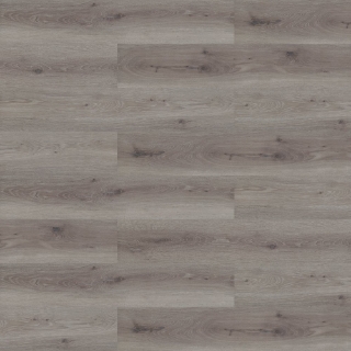 Picture of Shaw Floors - Inlet II Summit