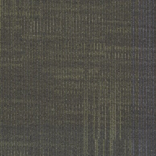 Picture of Shaw Floors - Linage Crossroads