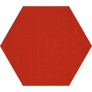 Picture of Shaw Floors - Plane Hexagon Poppy