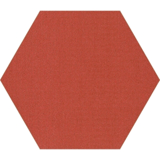 Picture of Shaw Floors - Plane Hexagon Coral
