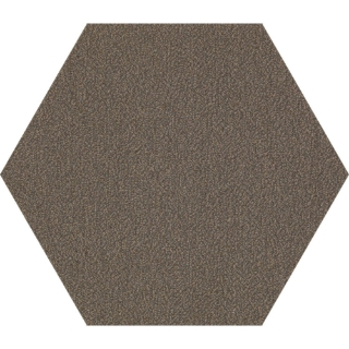 Picture of Shaw Floors - Plane Hexagon Kiln