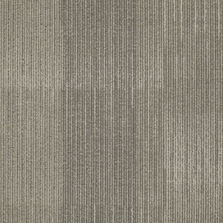 Picture of Shaw Floors - Reverse Area