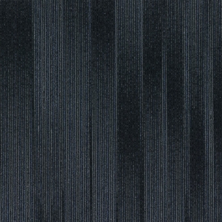 Picture of Shaw Floors - Situation Stellar