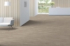 Picture of Shaw Floors - Terrain II 20 Mil Echo