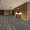 Picture of Shaw Floors - Terrain II 20 Mil Root