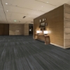 Picture of Shaw Floors - Terrain II 20 Mil Lark