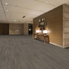 Picture of Shaw Floors - Terrain II 20 Mil Nest