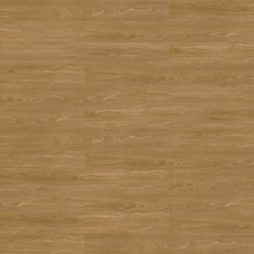 Picture of Shaw Floors - Terrain II 20 Mil 6 x 48 5mm Trail
