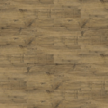 Picture of Shaw Floors - Uncommon Ground 6 Heritage