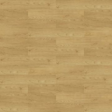 Picture of Shaw Floors - Uncommon Ground 6 Gallery Maple