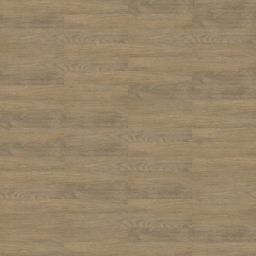 Picture of Shaw Floors - Uncommon Ground 4 Driftwood