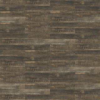 Picture of Shaw Floors - Uncommon Ground 4 Telluride
