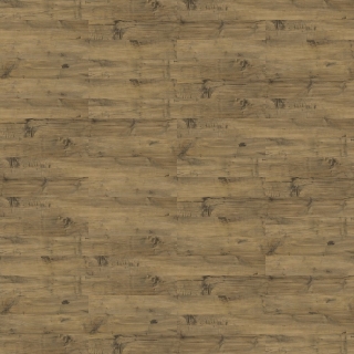 Picture of Shaw Floors - Uncommon Ground 4 Heritage