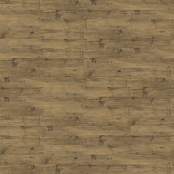 Picture of Shaw Floors - Uncommon Ground 4 Heritage