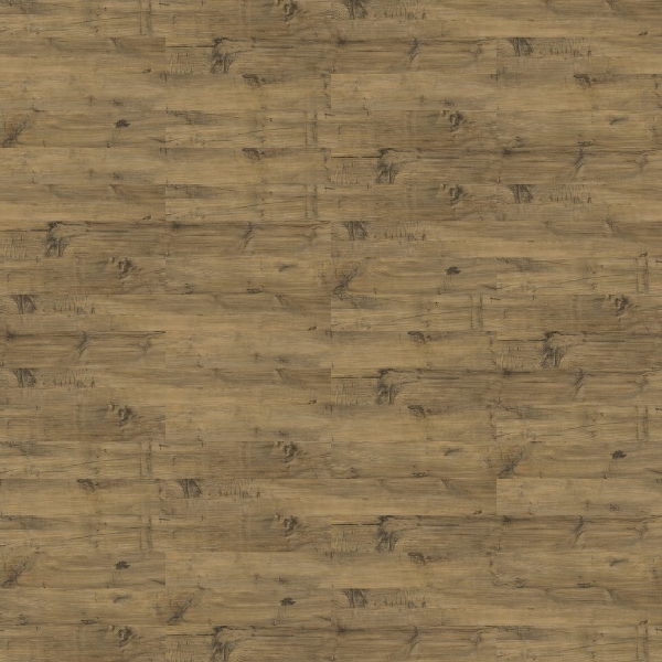 Picture of Shaw Floors - Uncommon Ground 4 Heritage
