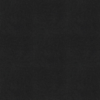 Picture of Shaw Floors - Welcome II Ebony