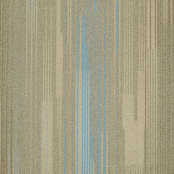 Picture of Shaw Floors - Visible Ionized