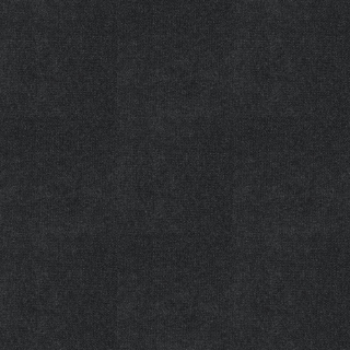 Picture of Shaw Floors - Welcome II Charcoal