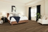 Picture of Shaw Floors - Endura Plus Tawny Oak